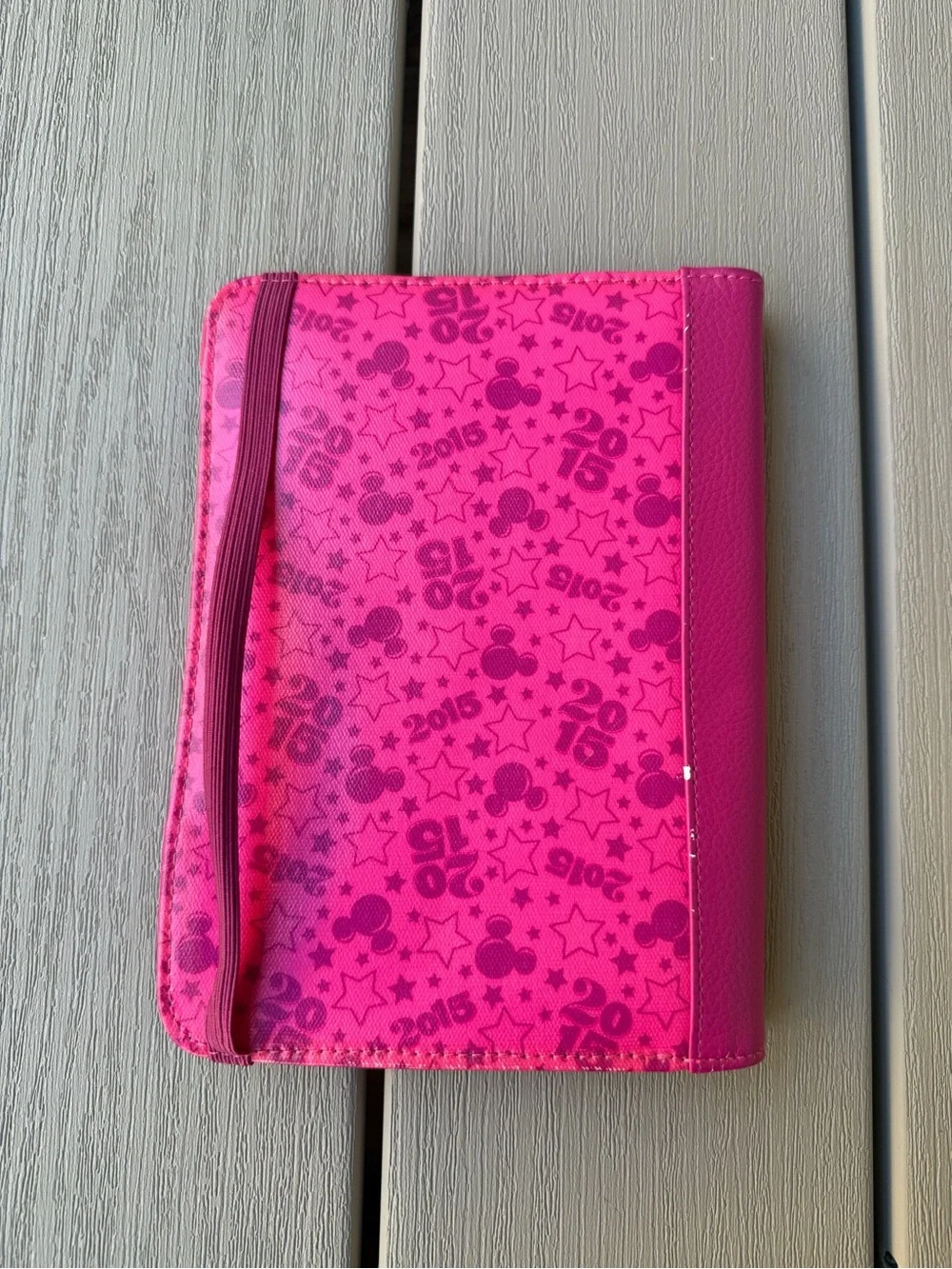 Disney Electronic Reader Case 2015 Walt Disney World Mickey Pink E-Reader Cover